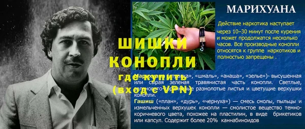 PSILOCYBIN Инта