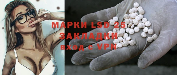PSILOCYBIN Инта